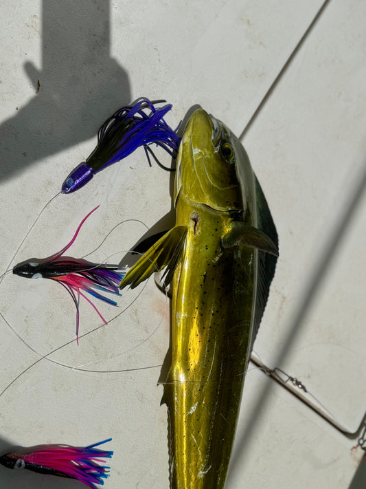 The Ultimate Guide to Fishing for Mahi-Mahi (Dorado) Offshore